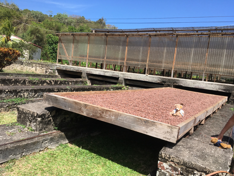 Grenada - February 2019