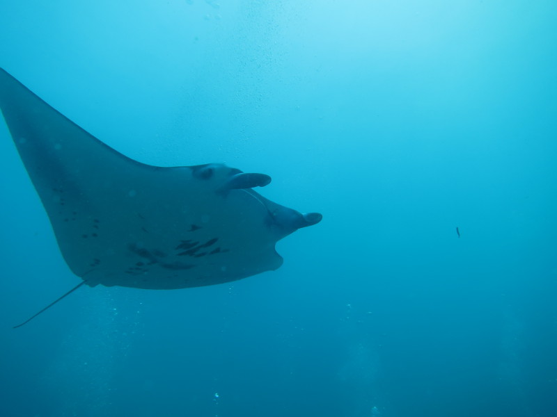 Maldives - April 2019