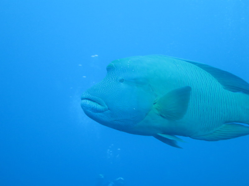 Maldives - April 2019